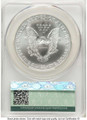 Bullionshark 2001 S$1 American Silver Eagle Coin CACG MS70 - HAT773280003 