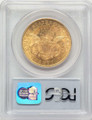 Bullionshark 1876 $20 Liberty Gold Double Eagle PCGS MS61 - HAT784554093 