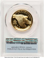 Bullionshark 2017-W $100 Gold High Relief Coin PCGS MS70 DCAM    American Liberty - HAT788375016 
