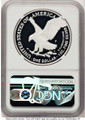 2025-W $1 Proof American Silver Eagle Coin NGC PF70 UCAM - U.S. Marine Corps Privy coin back image
