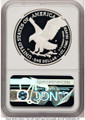 2025-W $1 Proof American Silver Eagle Coin NGC PF69 UCAM - U.S. Marine Corps Privy coin back image