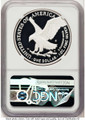 2025-W $1 Proof American Silver Eagle Coin NGC PF70 UCAM - U.S. Navy Privy - First Day of Issue coin back image