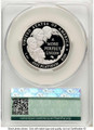 Bullionshark 2009-W $100 Proof Modern Bullion Coin CACG PR70   One-Ounce Platinum Eagle - HAT524772012 