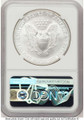 Bullionshark 2004 S$1 American Silver Eagle Coin NGC MS70 - HAT773359020 
