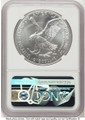 Bullionshark 2021 S$1 American Silver Eagle Coin NGC MS70 - Type Two - First Strike - HAT777573004 