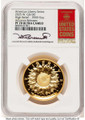 Bullionshark 2025-W $100 Gold High Relief Coin NGC MS70 UCAM    American Liberty - Advanced Release - HAT781602118 