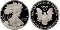 Bullionshark 2008-W American Silver Eagle Proof (OGP & Papers)