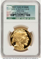 Bullionshark 2006-W $50 Proof 1 oz American Gold Buffalo Coin NGC PF70 UCAM - .9999 Fine Gold - HAT508335079 