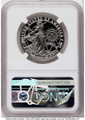 Bullionshark 2013-W $100 Proof Modern Bullion Coin NGC PF70   One-Ounce Platinum American Eagle - HAT789833004 
