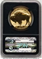 Bullionshark 2013-W $50 Reverse Proof 1 oz American Gold Buffalo Coin NGC rev PF70 - 100th Anniversary - HAT524849002 