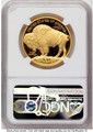 Bullionshark 2008-W $50 Proof 1 oz American Gold Buffalo Coin NGC PF70 UCAM - HAT524466016 