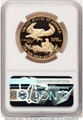 Bullionshark 2019-W $50 Proof 1 oz American Gold Eagle Coin NGC PF70 UCAM - HAT525228004 