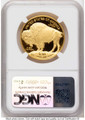 Bullionshark 2019-W $50 Proof 1 oz American Gold Buffalo Coin NGC PF70 UCAM - HAT790169015 