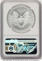 Bullionshark 1999 S$1 American Silver Eagle Coin NGC MS70 - HAT775260013 