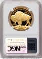 Bullionshark 2023-W G$50 Proof 1 oz American Gold Buffalo Coin NGC PF70 UCAM - HAT791194003 