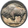 Bullionshark 1928-D 5C Buffalo Nickel Coin PCGS MS66 - HAT791027010 
