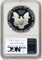 Bullionshark 1995-W S$1 Proof American Silver Eagle Coin NGC PF69 UCAM - HAT773331001 