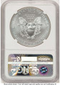 2012-W S$1 Burnished American Silver Eagle Coin NGC MS70 coin back image