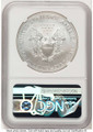 Bullionshark 2014-W S$1 Burnished American Silver Eagle Coin NGC MS70 - HAT759467006 