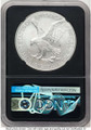 Bullionshark 2021-W S$1 Burnished American Silver Eagle Coin NGC MS70 - Type Two - First Day of Issue - HAT521119135 