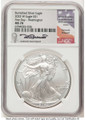 Bullionshark 2023-W S$1 Burnished American Silver Eagle Coin NGC MS70 UCAM - First Day of Issue - HAT762963141 