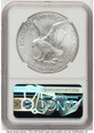 Bullionshark 2023-W S$1 Burnished American Silver Eagle Coin NGC MS70 UCAM - First Day of Issue - HAT762963141 