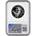 Bullionshark 2016-W $100 Platinum Eagle NGC PF70 UCAM 