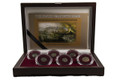 Bullionshark The Jewish Wars with Rome: A Box of 6 Ancient Bronze Roman and Judaean Coins 