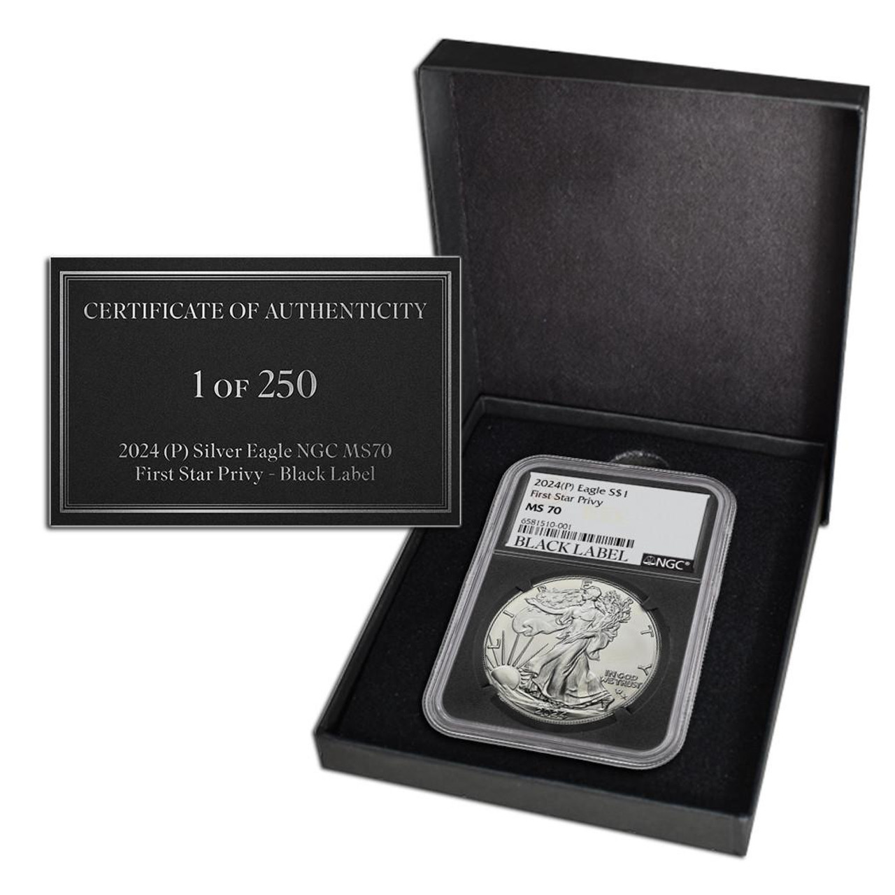 2024 (P) Silver Eagle NGC MS70 First Star Privy - Black Label