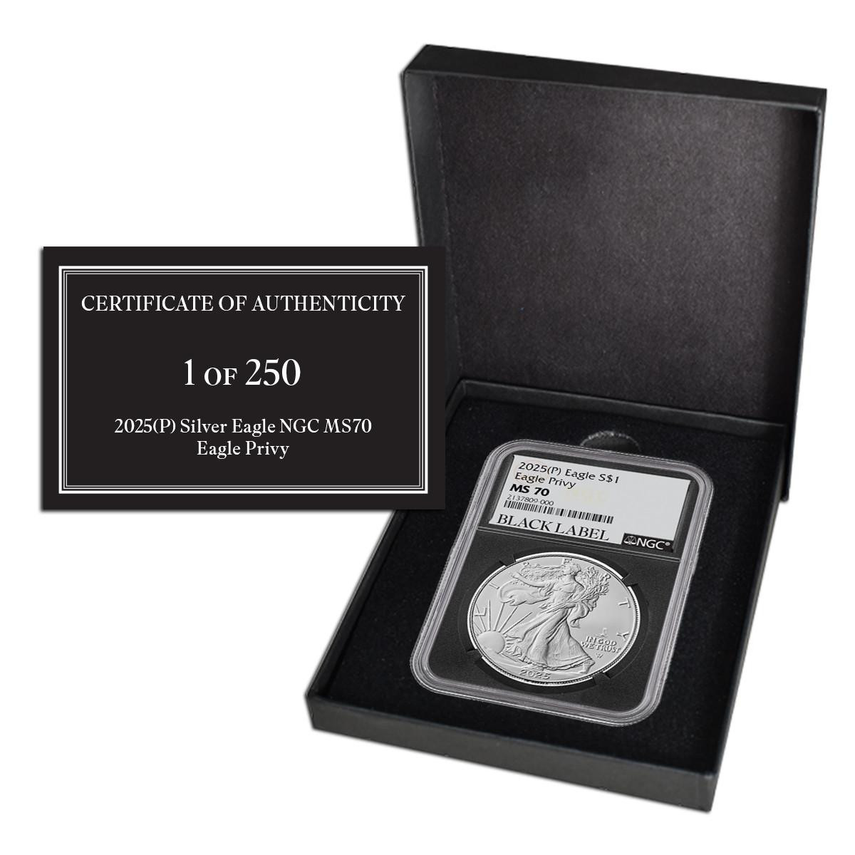 2025 Silver Eagle (Eagle Privy Mark) NGC MS70 Black Label 1 of 250