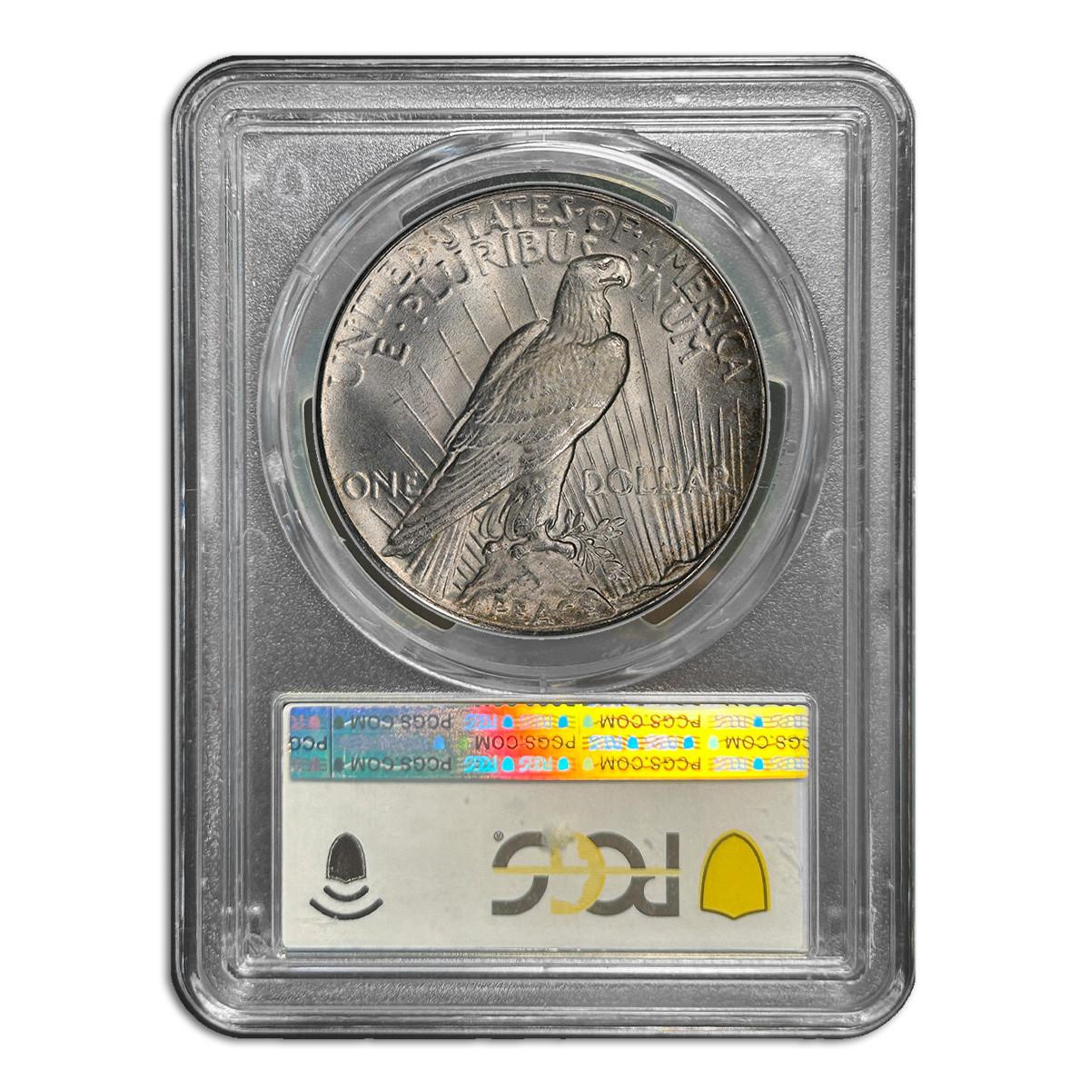Peace Dollar NGC/PCGS MS65 - Random Date