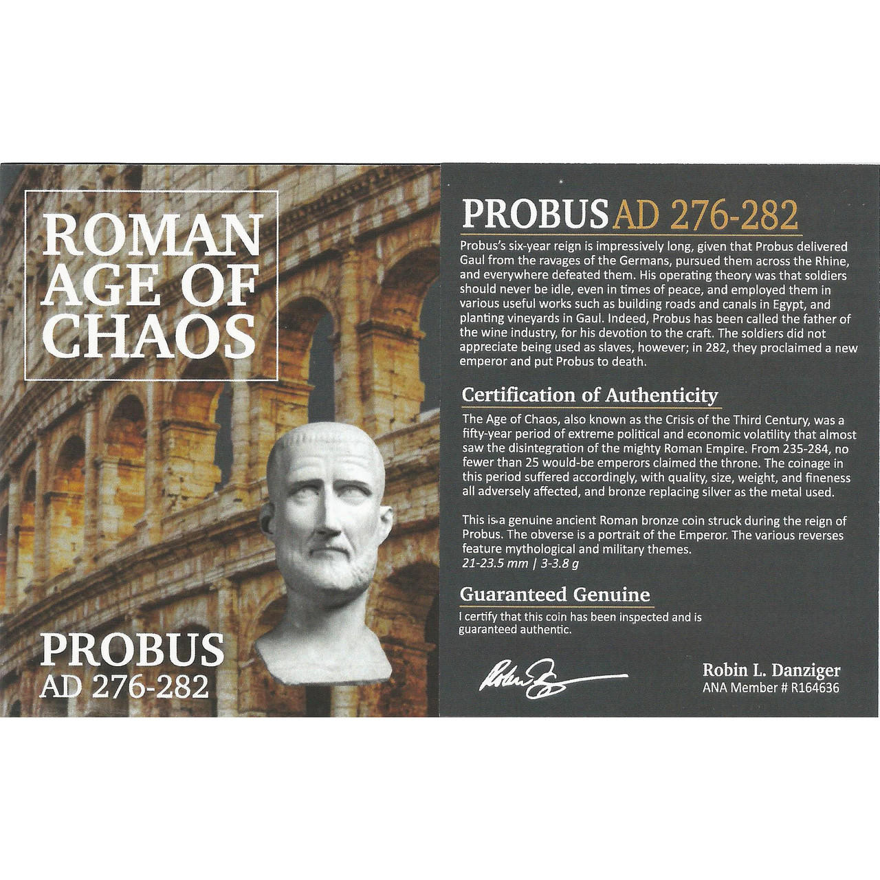Roman AE Probus (AD 276-282) NGC (F)