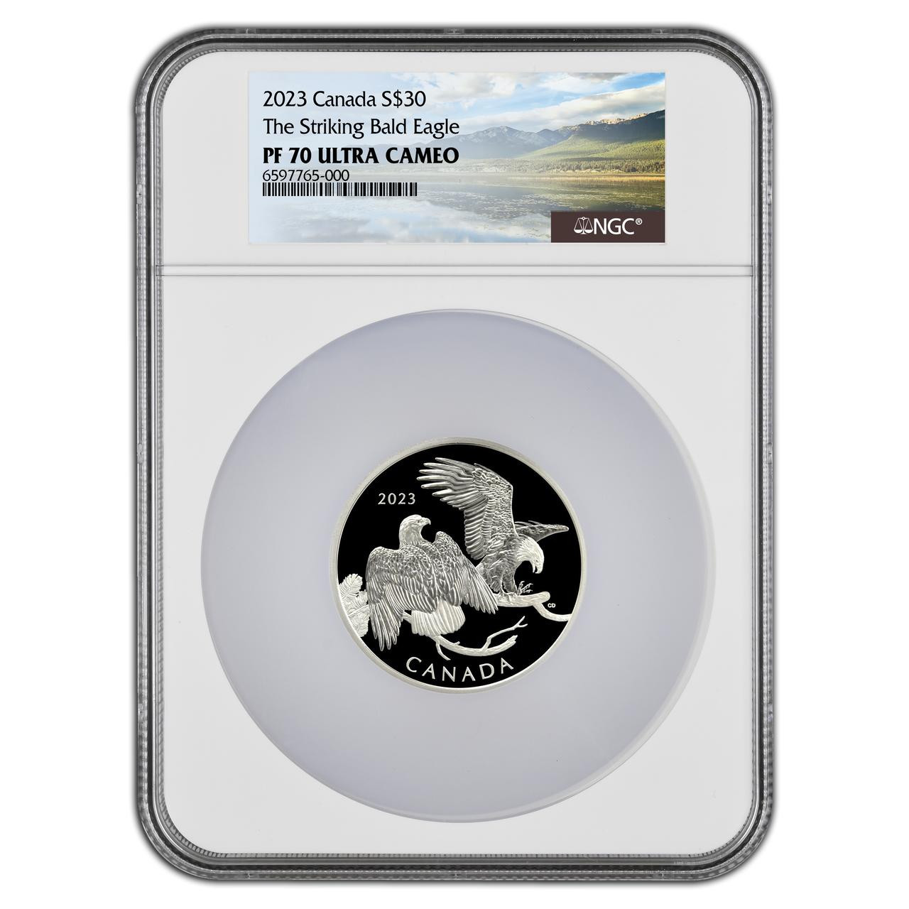 Bullionshark 2023 2oz Silver Striking Bald Eagle PF70 (Only 4,500 Minted)