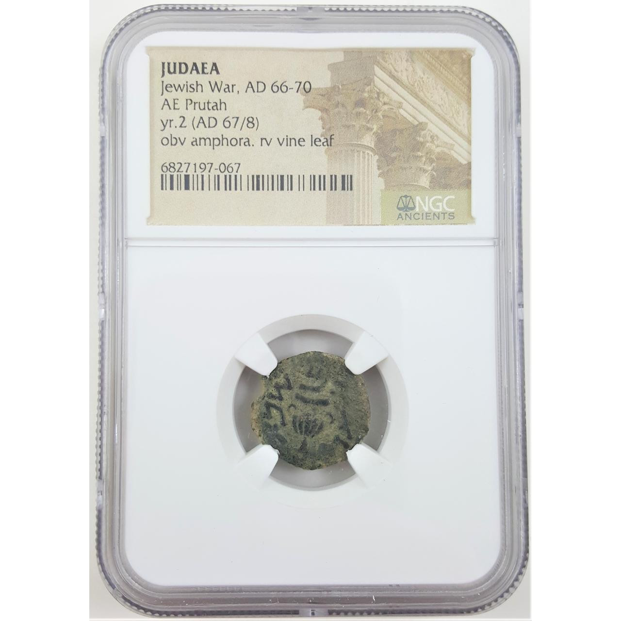 Bronze prutah of Judaea during the ill-fated first revolt in NGC