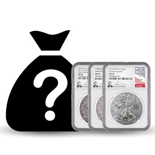 Buy Burnished Silver Eagle Mystery Bag Online - Thomas Uram