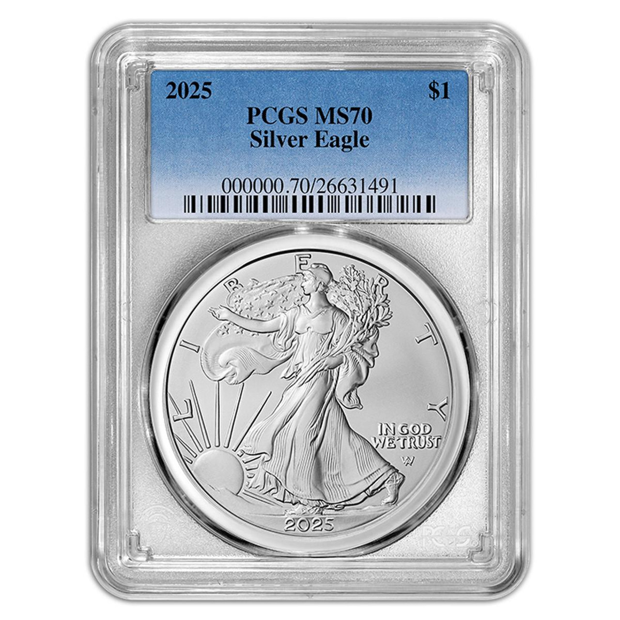 PCGS MS70 2025年 中国 3元 新年 元旦 元日 正月 銀貨 8g PCGS MS70 2025年 中国 3元 新年 元旦 元日 正月 銀貨 8g