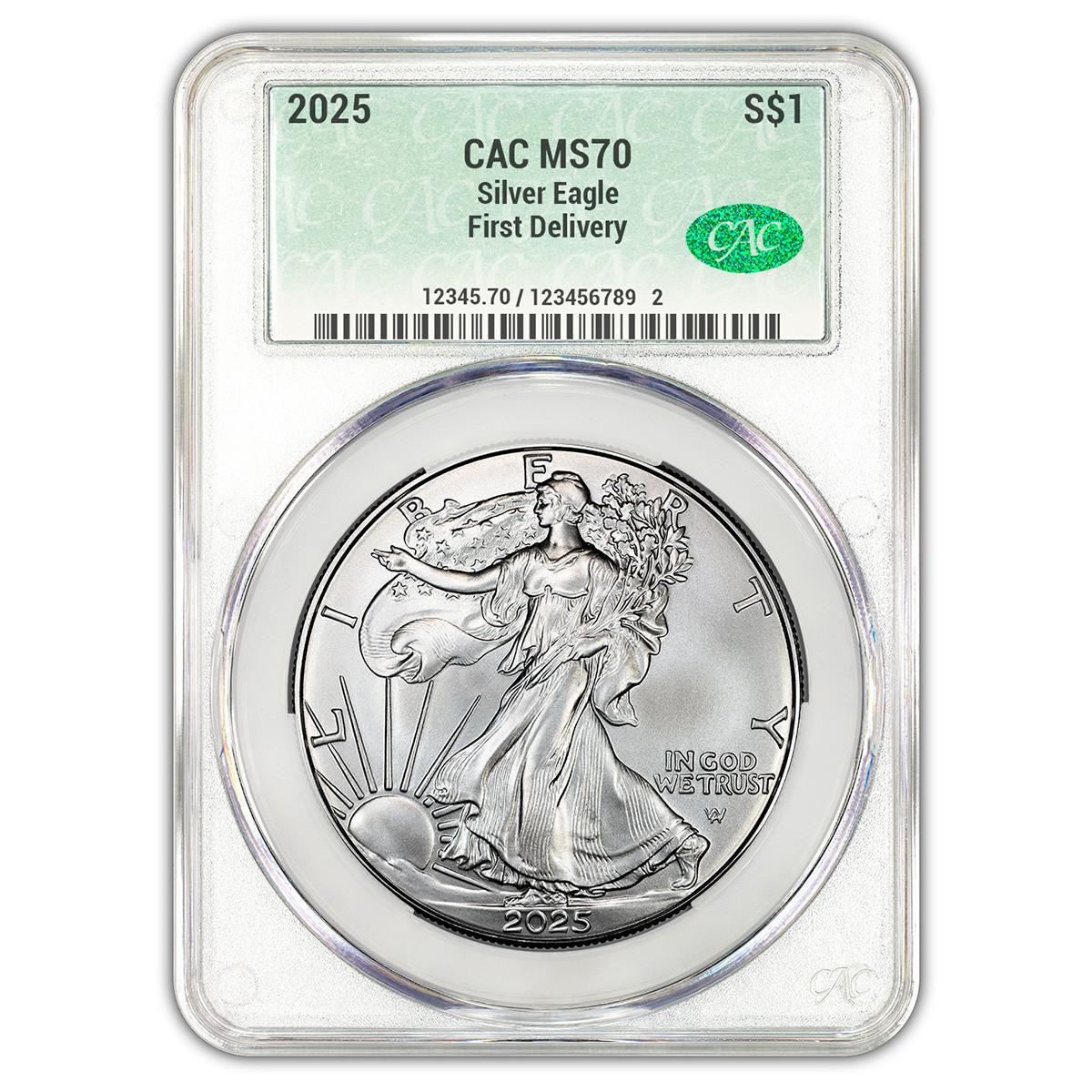 COIN PARKING DELIVERY 『Family vol.2』 Buy 2025 $1 American Silver Eagle CAC MS70 First Delivery online