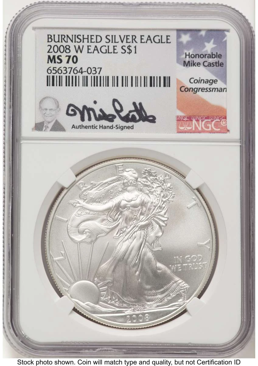Bullionshark 2008-W S$1 Burnished American Silver Eagle Coin NGC MS70 - HAT756204021 