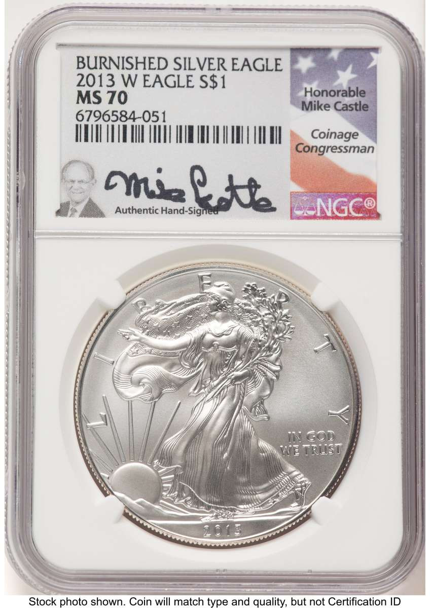 Bullionshark 2013-W S$1 Burnished American Silver Eagle Coin NGC MS70 - HAT763324018 