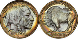 Buffalo Nickels: History and Values