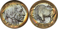 Buffalo Nickels: History and Values