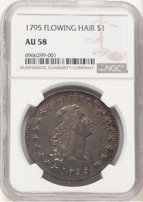Bullionshark 1795 S$1 Flowing Hair Dollar Coin NGC AU58   Flowing Hair, Two Leaves, B-1, BB-21, R.2 - HAT777873006 