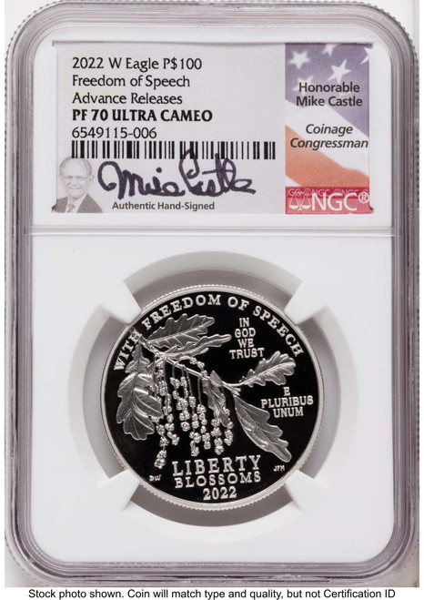 2022-W $100 Proof Modern Bullion Coin NGC PF70   One- Ounce Platinum Eagle - Freedom of Speech coin front image