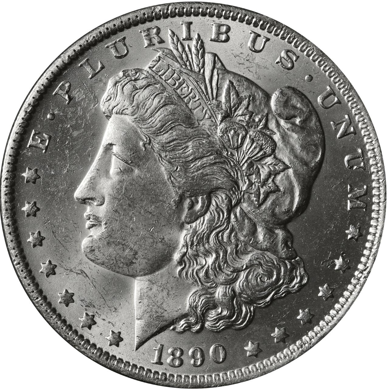 Hobo 1890 USA Dollar Coin Replica - Handcrafted Collectible Carved Coin Art Piece