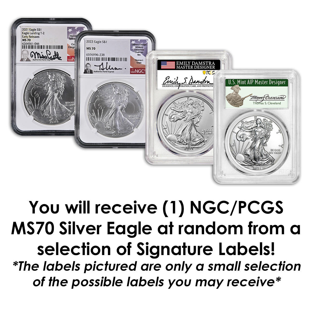 Silver Eagle PCGS/NGC MS70 - Signature Series (Mystery Bag)