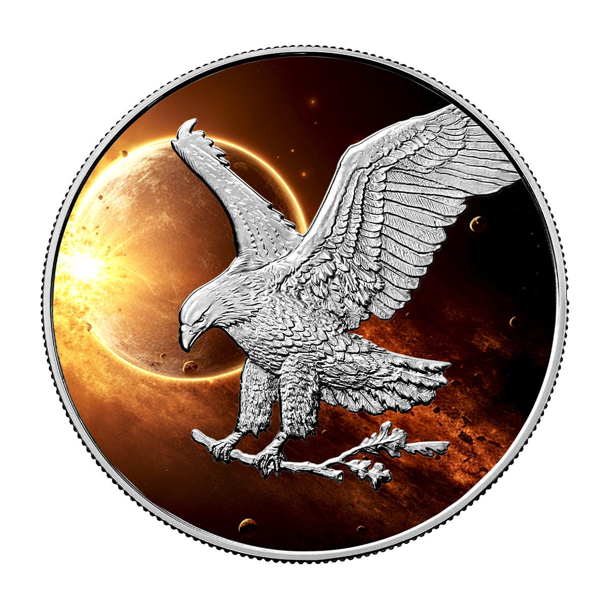 ◡̈*✧Eagle Eagle Raptor Hawk - Decal Sticker - Multiple Colors & Sizes