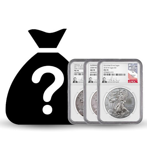 Buy Burnished Silver Eagle Mystery Bag Online - Thomas Uram