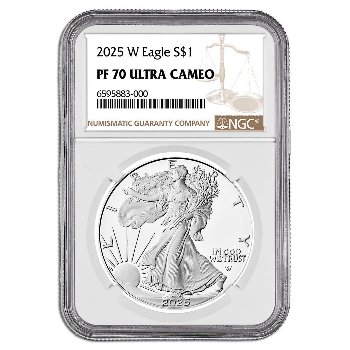 アメリカ 2010 イーグル銀貨　NGC鑑定　PF70 1オンス銀貨 イーグル銀貨2010年NGC MS70 - メルカリ