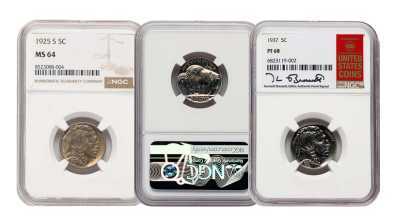 Certified Buffalo Nickels