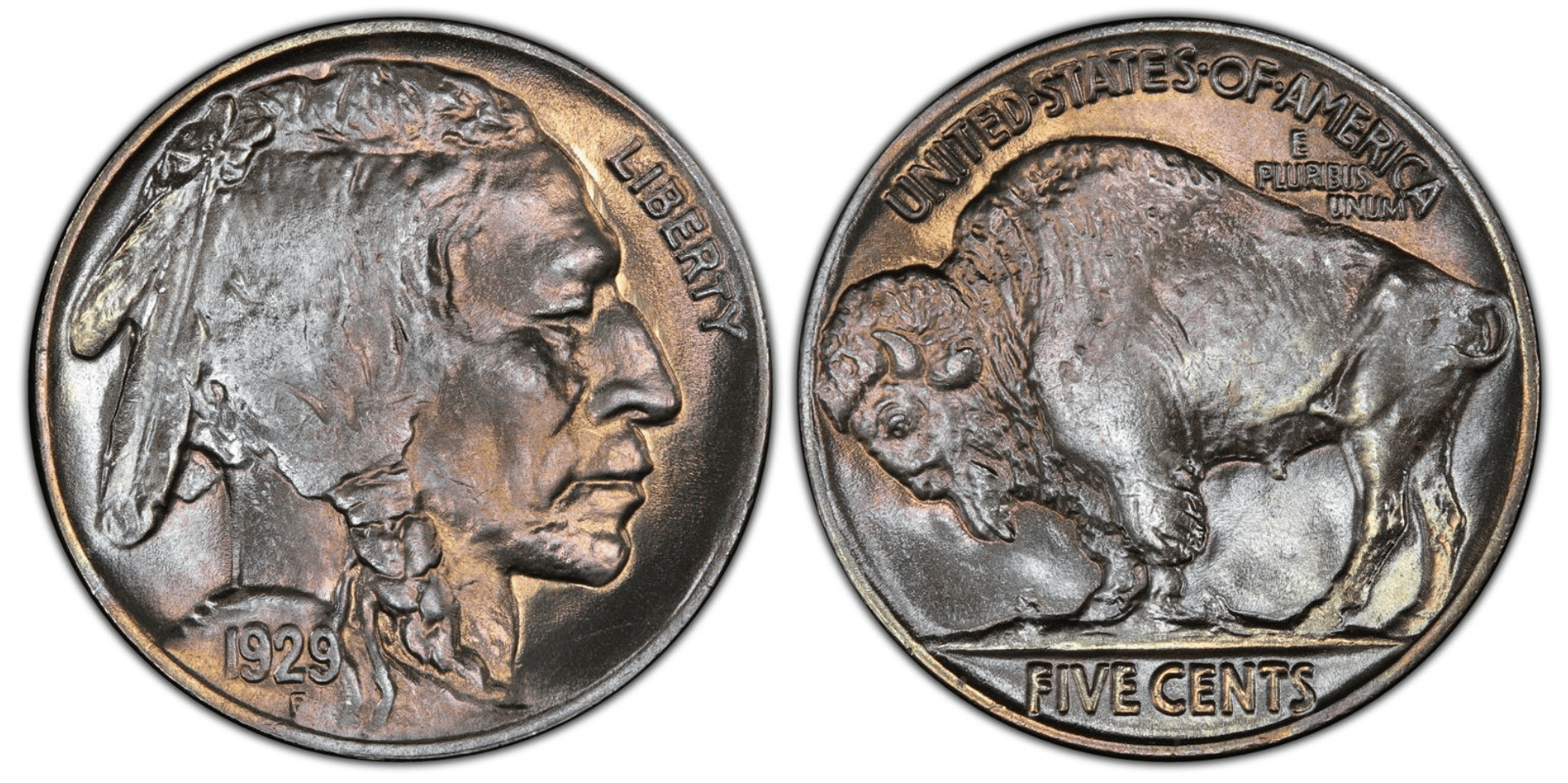 1929 Buffalo Nickel Value